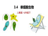 人教版（2024）七年级生物上册第一单元3.4单细胞生物精品课件