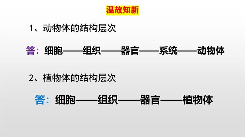 人教版（2024）七年级生物上册第一单元3.4单细胞生物精品课件第2页