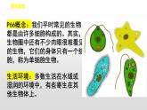 人教版（2024）七年级生物上册第一单元3.4单细胞生物精品课件