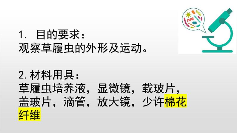 人教版（2024）七年级生物上册第一单元3.4单细胞生物精品课件第8页