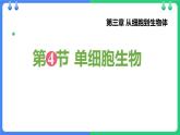 人教版（2024）七年级生物上册第一单元3.4单细胞生物课件