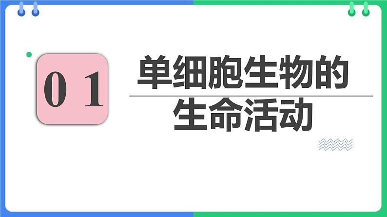 人教版（2024）七年级生物上册第一单元3.4单细胞生物课件03