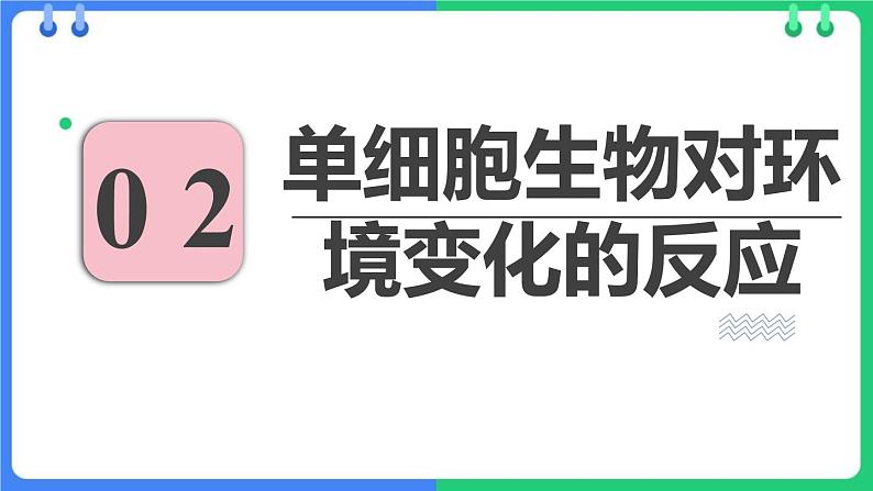 人教版（2024）七年级生物上册第一单元3.4单细胞生物课件08