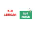 人教版（2024）七年级生物上册第一单元3.4单细胞生物课件ppt