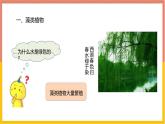 人教版（2024）七年级生物上册第二单元1.1藻类、苔藓和蕨类ppt课件