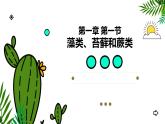 人教版（2024）七年级生物上册第二单元1.1藻类、苔藓和蕨类精品课件