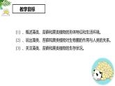 人教版（2024）七年级生物上册第二单元1.1藻类、苔藓和蕨类精品课件