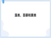 人教版（2024）七年级生物上册第二单元1.1藻类、苔藓和蕨类课件