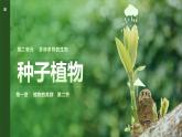 人教版（2024）七年级生物上册第二单元1.2种子植物ppt精品课件