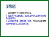 人教版（2024）七年级生物上册第二单元1.2种子植物ppt精品课件