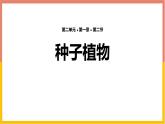 人教版（2024）七年级生物上册第二单元1.2种子植物ppt课件