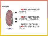 人教版（2024）七年级生物上册第二单元1.2种子植物ppt课件