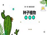 人教版（2024）七年级生物上册第二单元1.2种子植物精品ppt课件