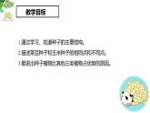 人教版（2024）七年级生物上册第二单元1.2种子植物精品ppt课件