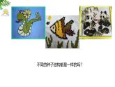人教版（2024）七年级生物上册第二单元1.2种子植物精品ppt课件