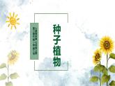 人教版（2024）七年级生物上册第二单元1.2种子植物精品课件