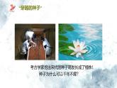 人教版（2024）七年级生物上册第二单元1.2种子植物精品课件