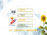 人教版（2024）七年级生物上册第二单元1.2种子植物精品课件