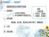 人教版（2024）七年级生物上册第二单元1.2种子植物精品课件