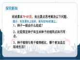 人教版（2024）七年级生物上册第二单元1.2种子植物精品课件ppt