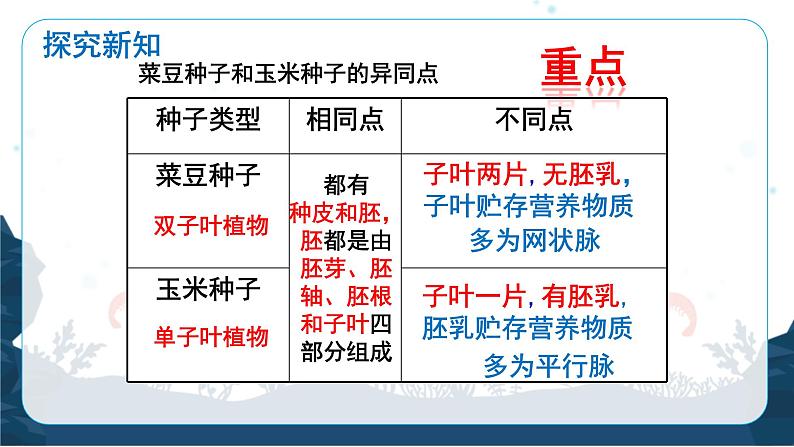 人教版（2024）七年级生物上册第二单元1.2种子植物精品课件ppt第6页