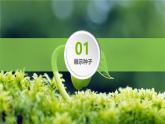 人教版（2024）七年级生物上册第二单元1.2种子植物课件