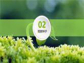 人教版（2024）七年级生物上册第二单元1.2种子植物课件