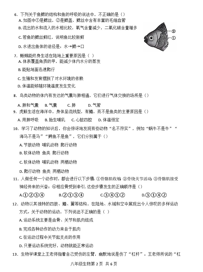 河南省濮阳市范县2024-2025学年八年级上学期11月期中生物试题02