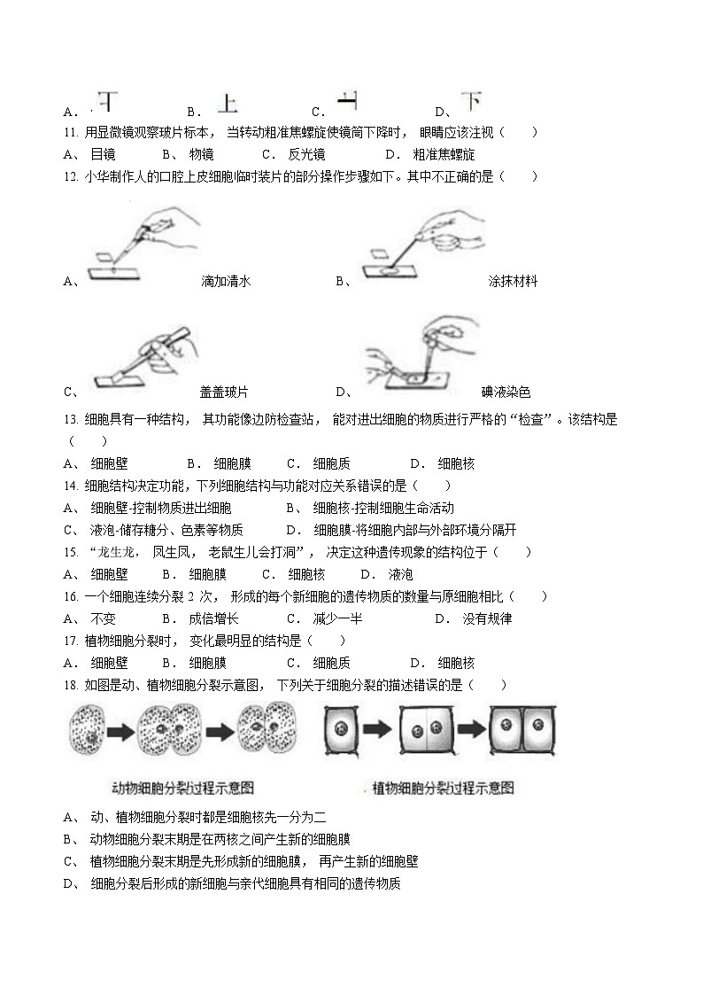 江西省赣州市大余县部分学校2024-2025学年七年级上学期期中生物试题(无答案)第2页