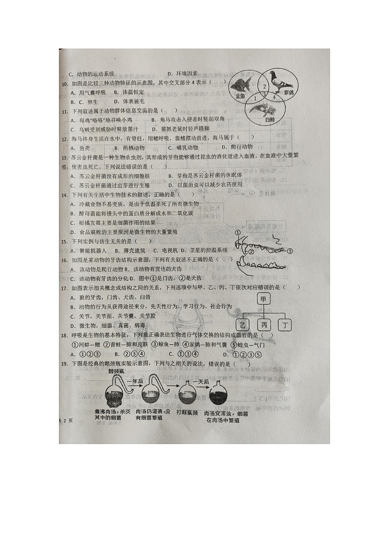 安徽省安庆市桐城市第二中学2024-2025学年八年级上学期期中考试生物试卷第2页