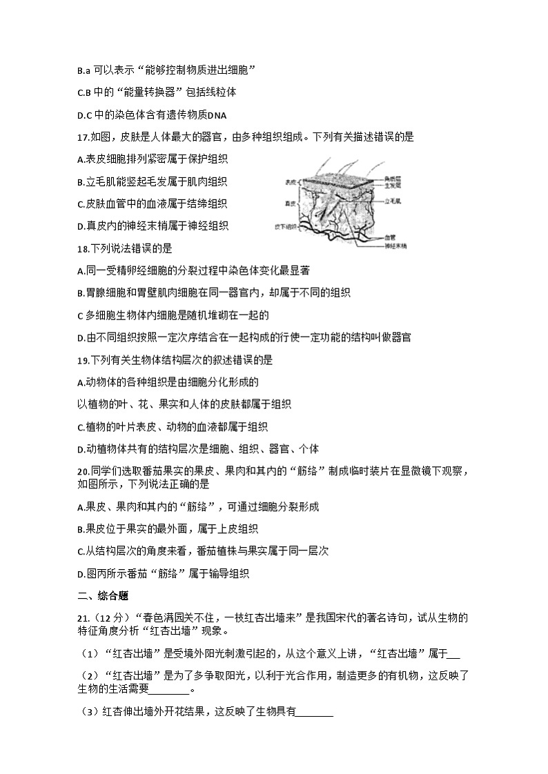 试题第3页