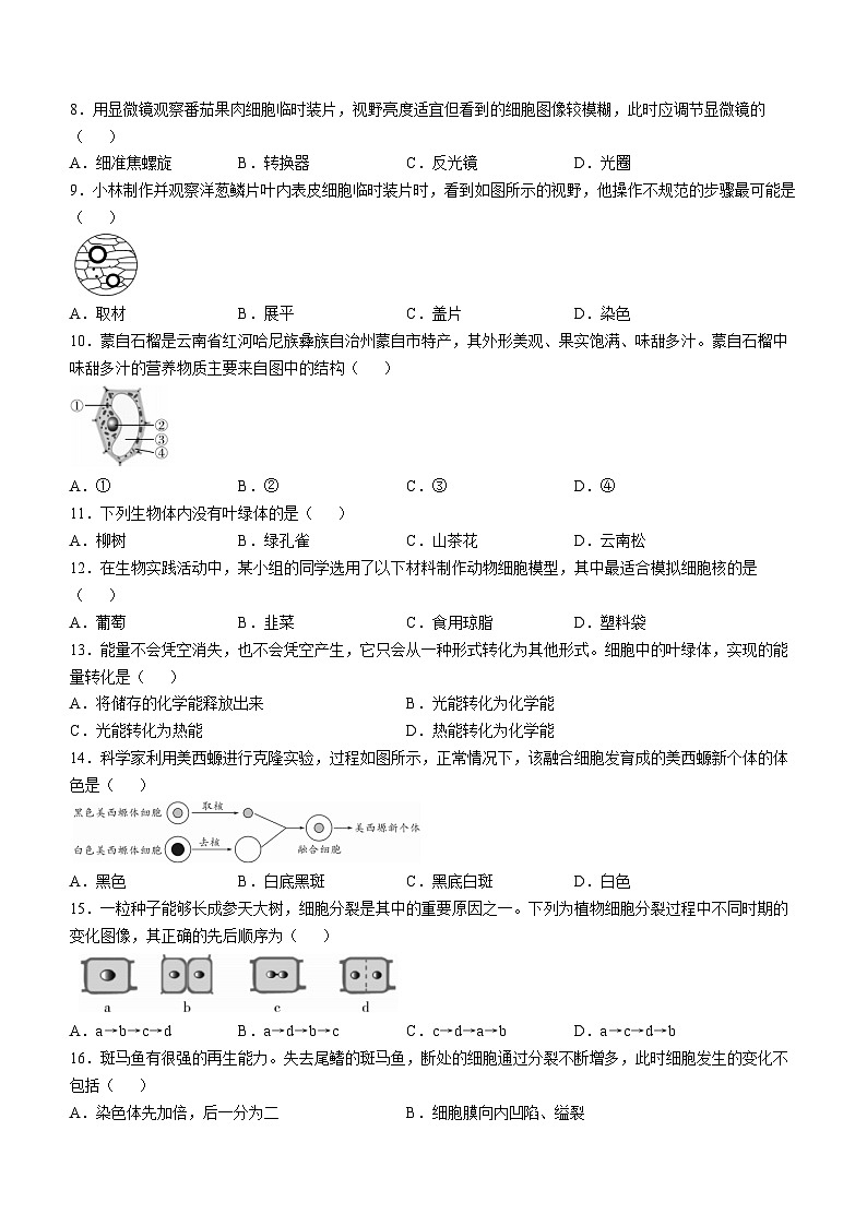 云南省曲靖市2024-2025学年七年级上学期期中生物试题第2页
