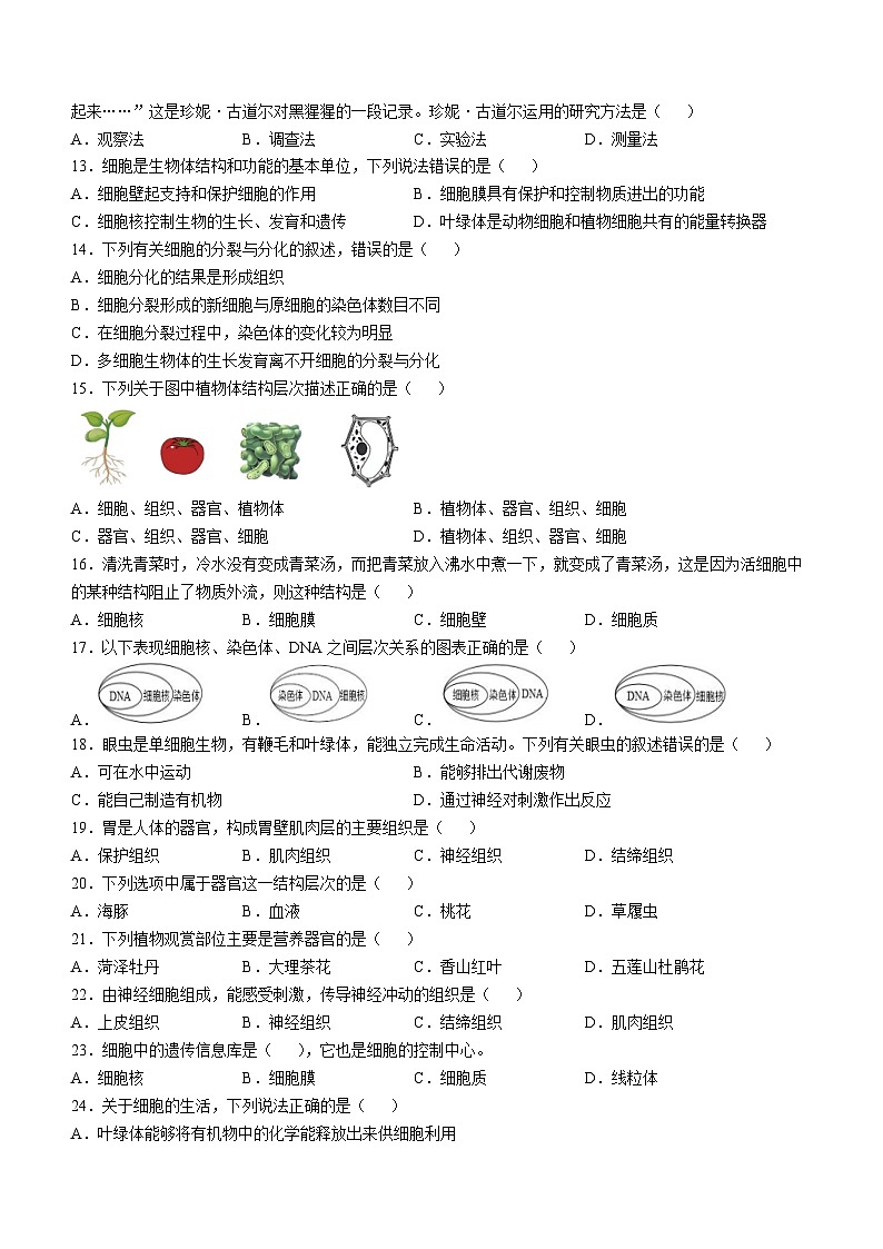 重庆市潼南区初中学校联考2024-2025学年七年级上学期期中生物试题第2页