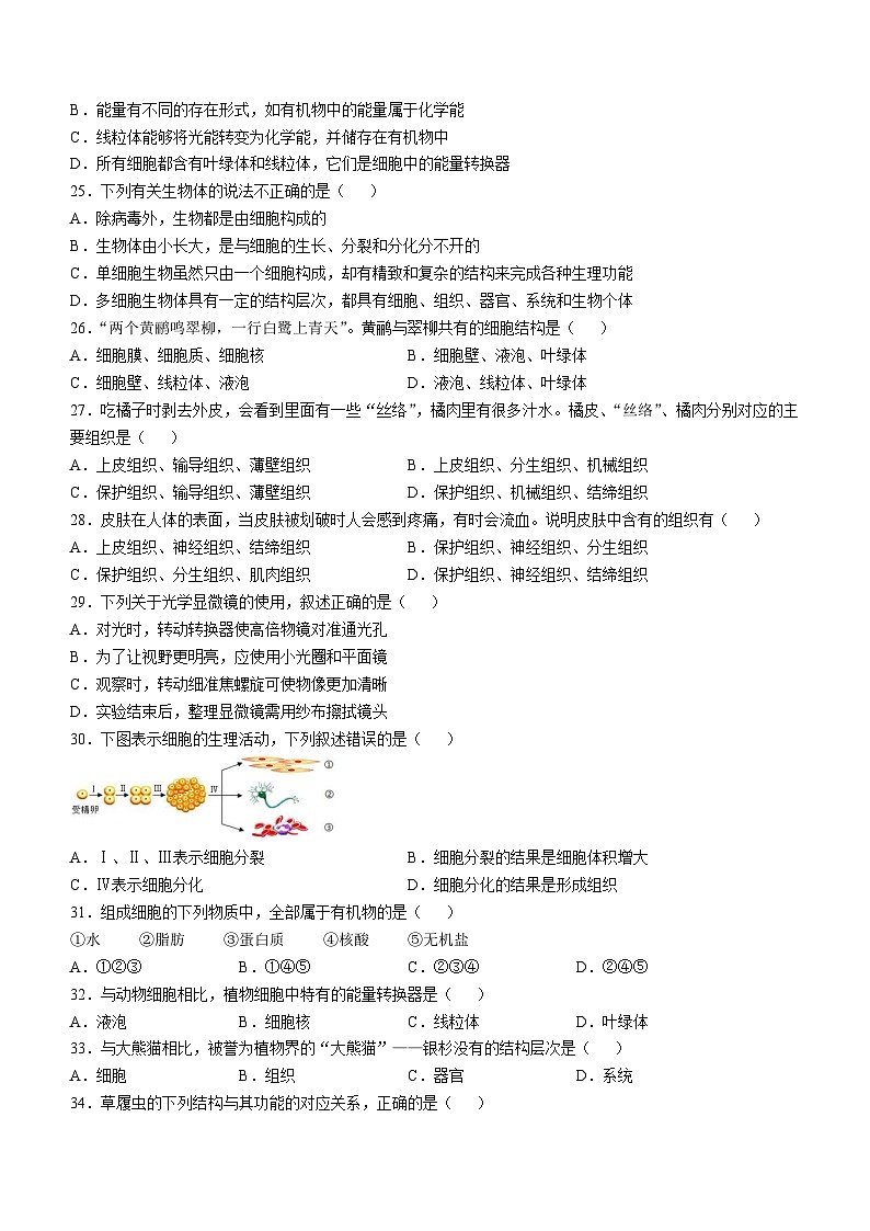 重庆市潼南区初中学校联考2024-2025学年七年级上学期期中生物试题第3页