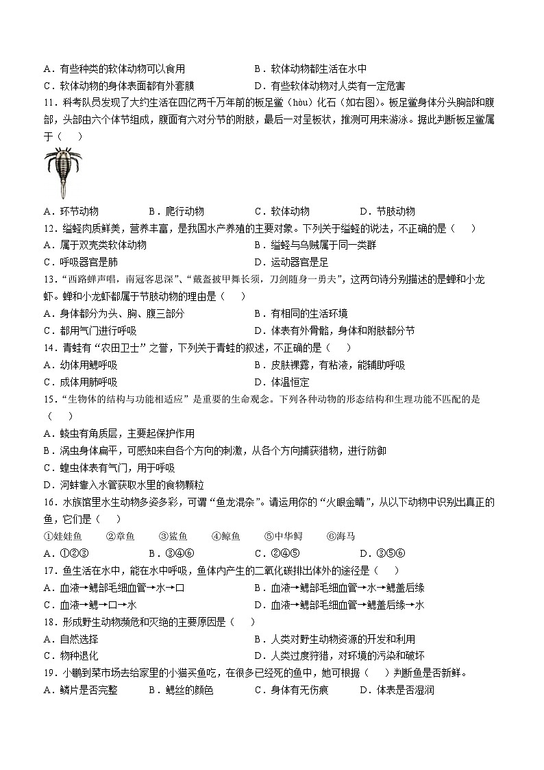 重庆市潼南区初中学校联考2024-2025学年八年级上学期期中生物试题第2页