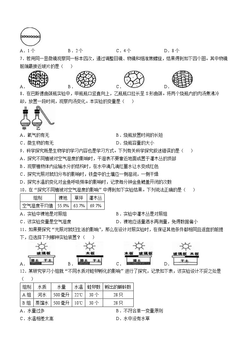 江苏省徐州市2024-2025学年七年级上学期期中生物试题第2页