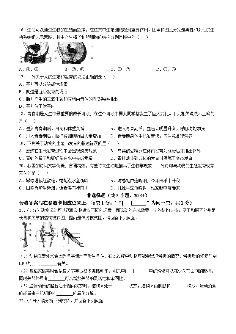 河南省商丘市2024-2025学年七年级上学期期中生物试题第3页
