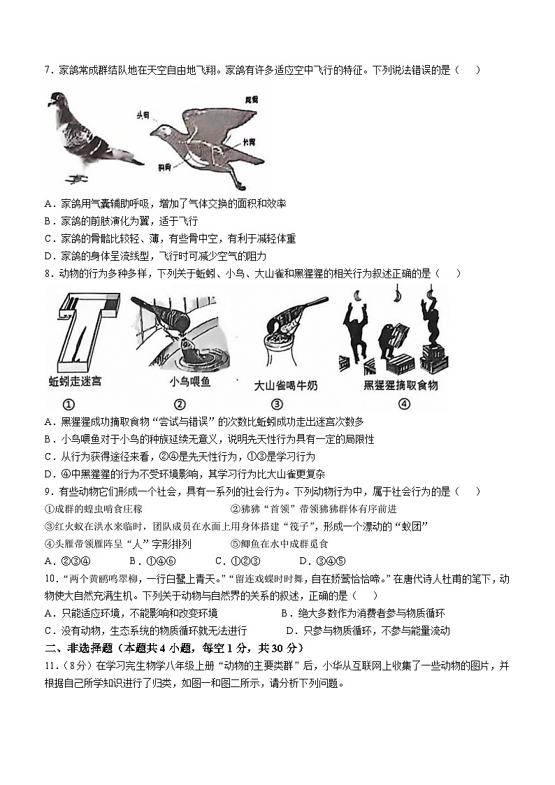 湖北省荆门市沙洋县2024-2025学年八年级上学期期中生物学试题第2页