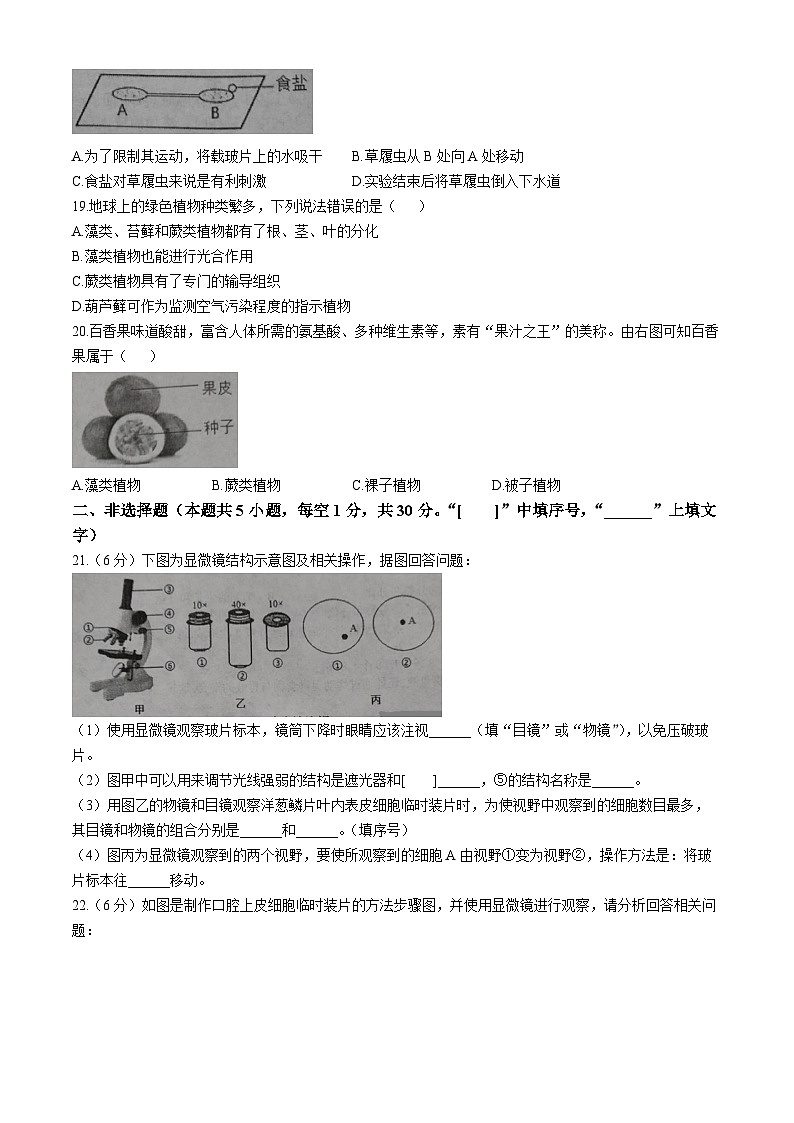 河南省漯河市临颍县2024-2025学年七年级上学期期中生物试题03