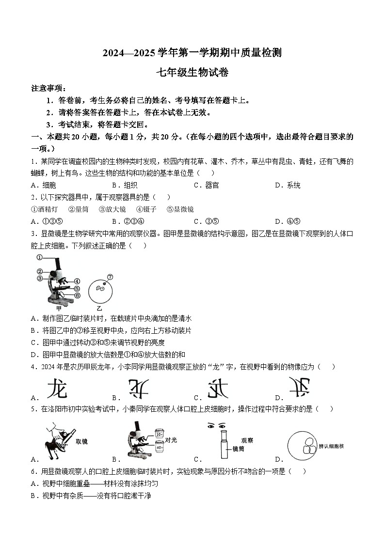 河南省洛阳市宜阳县2024-2025学年七年级上学期期中生物学试题第1页