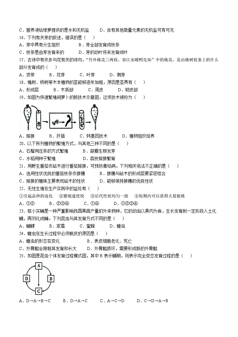 山东省德州市宁津县第四实验中学等两校2024-2025学年八年级上学期期中生物学试题第3页