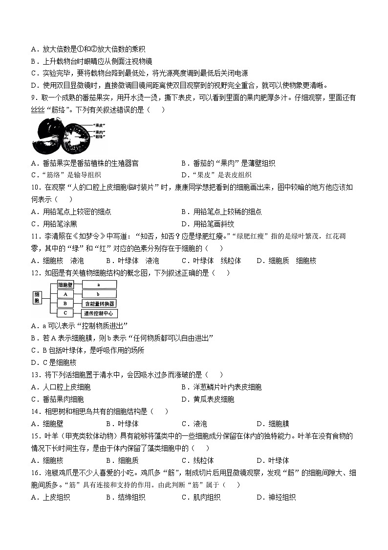 河北省邯郸市2024-2025学年七年级上学期期中生物试题第2页