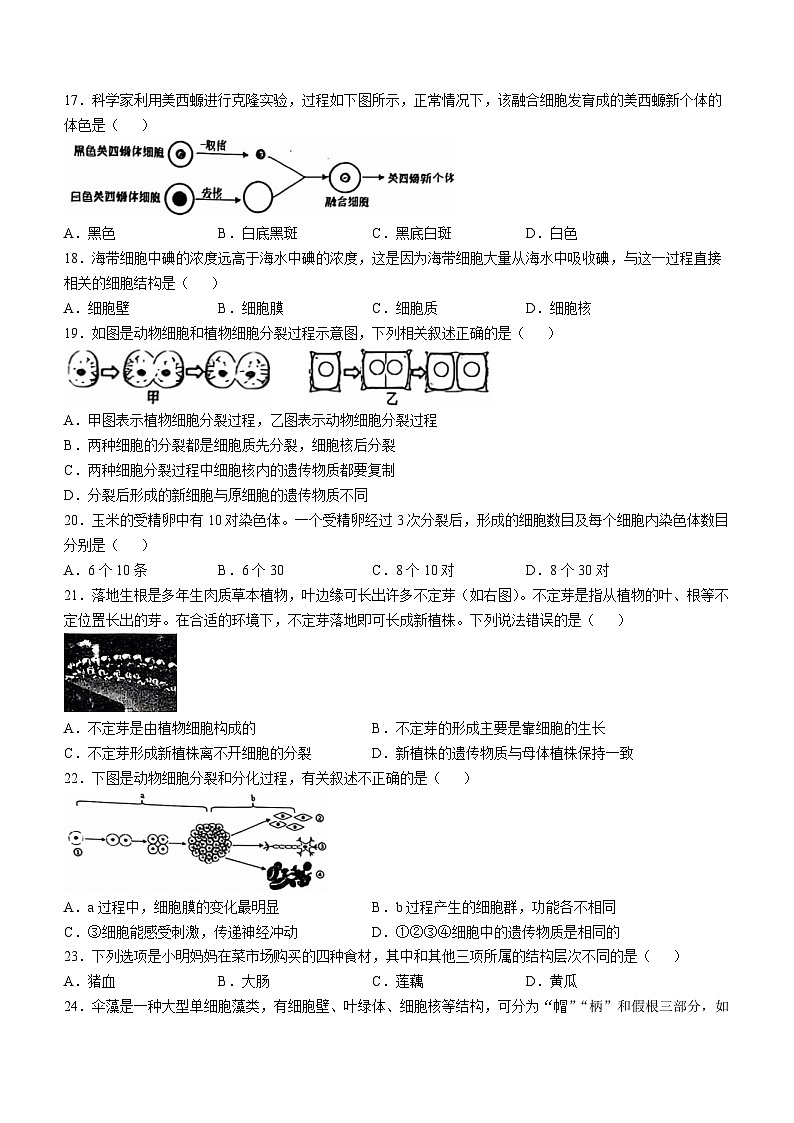河北省邯郸市2024-2025学年七年级上学期期中生物试题第3页