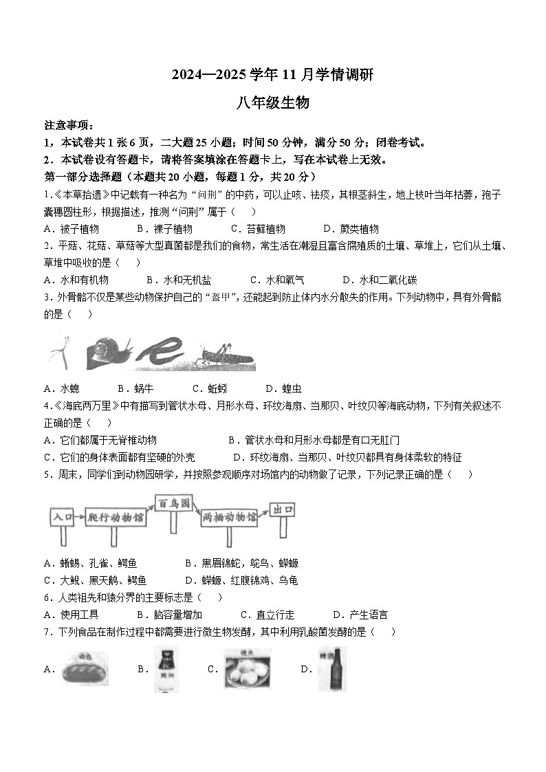 河南省洛阳市洛宁县2024-2025学年八年级上学期期中生物学试题(无答案)01