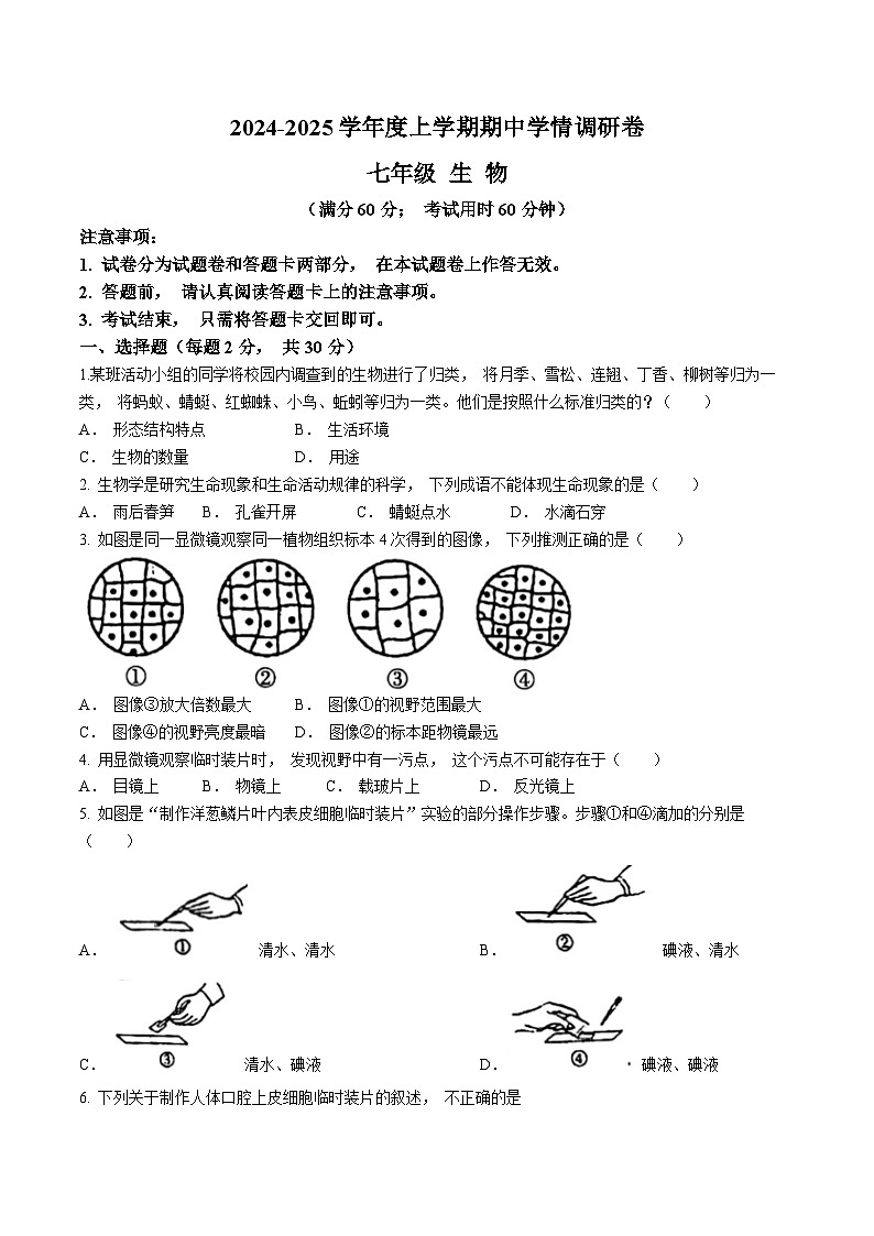 广西桂林市龙胜县2024-2025学年七年级上学期期中生物试题(无答案)第1页