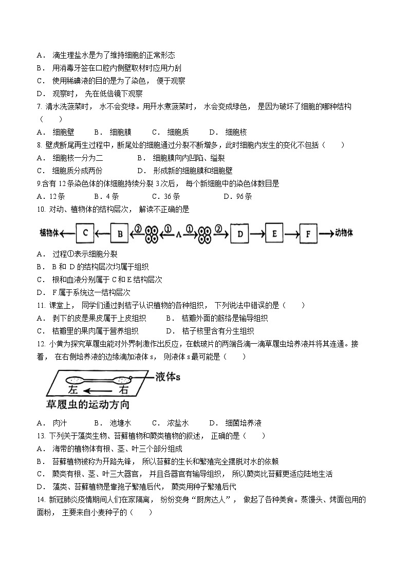 广西桂林市龙胜县2024-2025学年七年级上学期期中生物试题(无答案)第2页