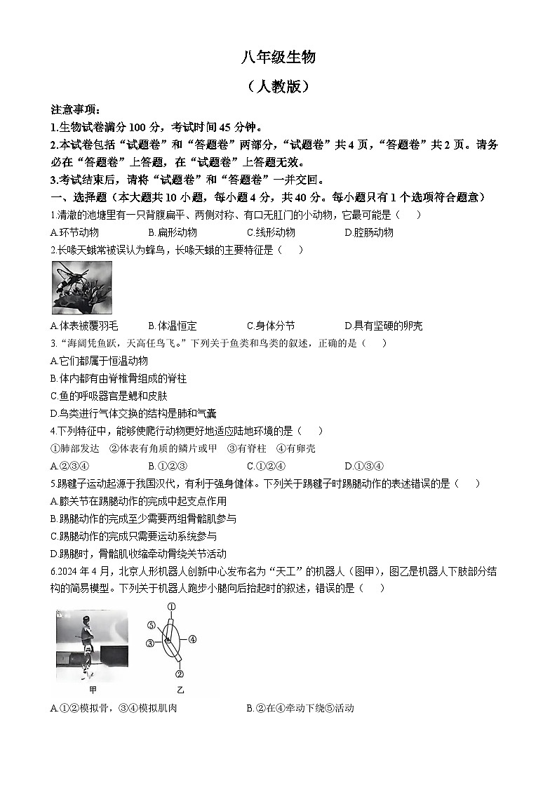 安徽省亳州市利辛县2024-2025学年八年级上学期期中生物试题第1页