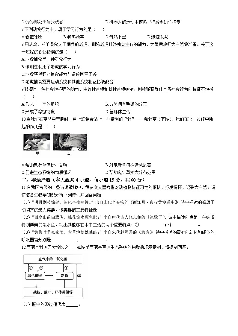 安徽省亳州市利辛县2024-2025学年八年级上学期期中生物试题第2页