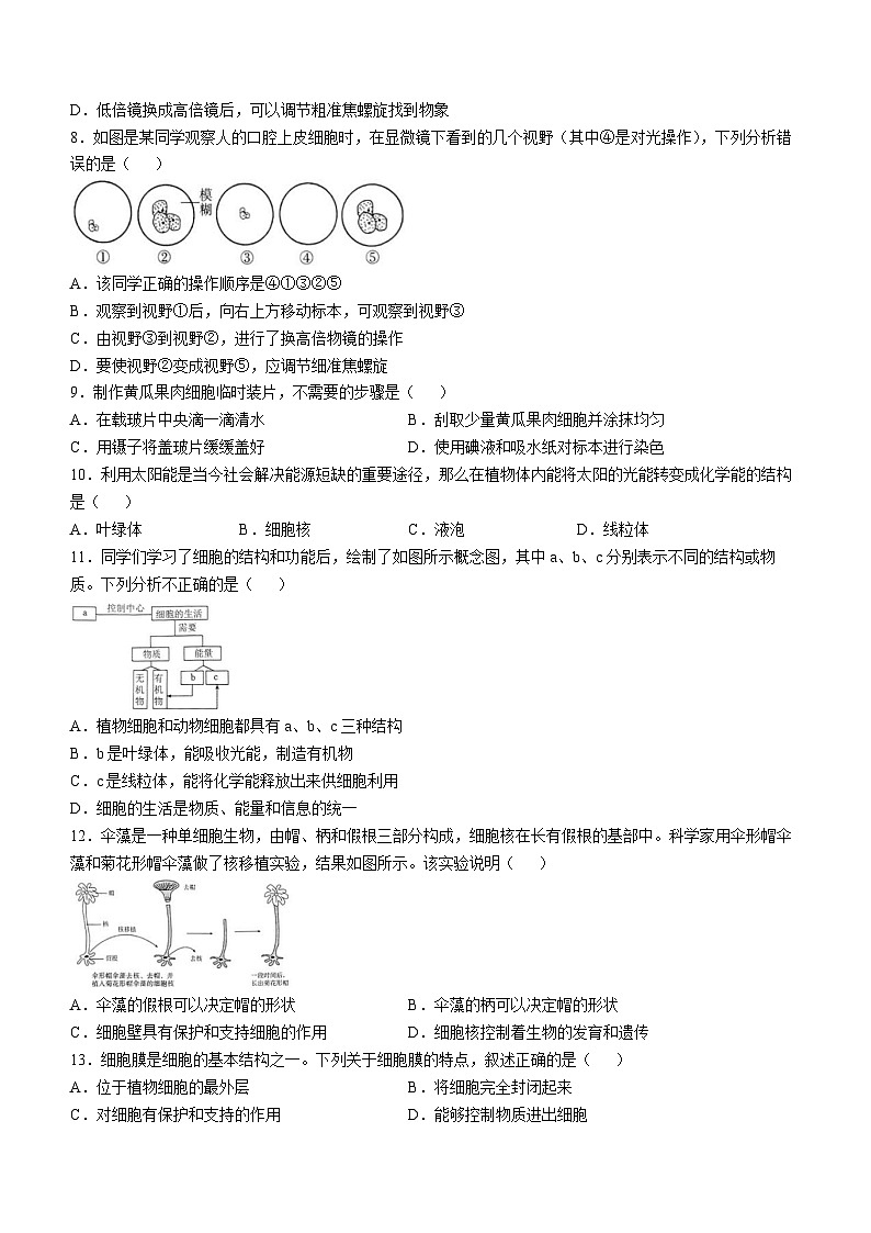 安徽省蚌埠市2024-2025学年七年级上学期期中生物试题第2页