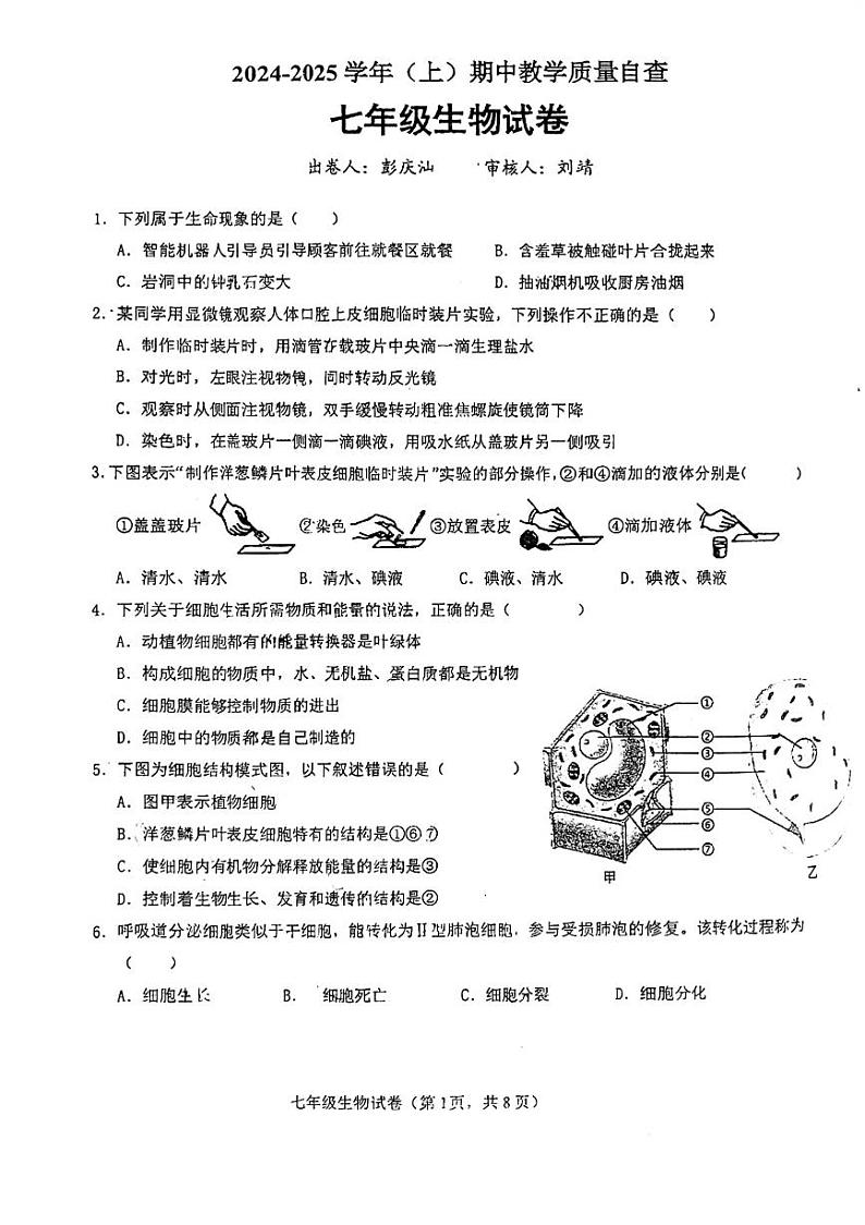 广东省东莞市塘厦初级中学2024-2025学年七年级上学期期中考试生物试卷01